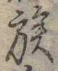 已定位族