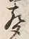 文字声