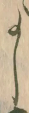 已定位茂