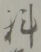 位置定マレル科