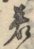 位置定マレル若