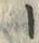 「ー」字