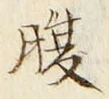 字腹