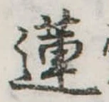 Đã định vị 蓮