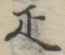已定位疋