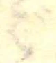 ばの位置