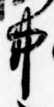 已定位井