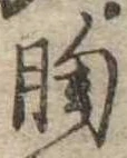 位置定マレル胸