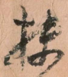 位置定マレル扶