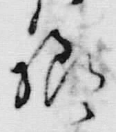 文字様