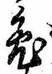 已定位兎