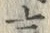 𡨸言