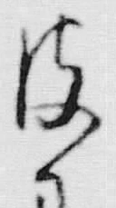 文字皮