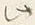 文字 此
