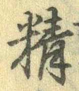 Đã định vị 精