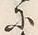 Character 清