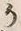 Character 聟