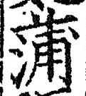 字蒲