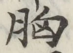 字胸