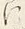 字に