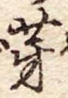 位置 確認된 芽