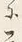 字に