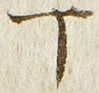 文字丁