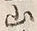 文字残