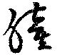 已定位瞳