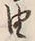 𡨸言