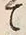 “尤”字