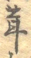 位置定マレル茸
