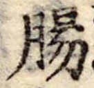 Đã định vị 腸