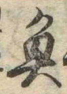 已定位魚