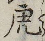 已定位虎