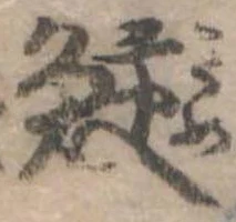 位置 確認된 鮫