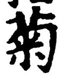 글자 菊