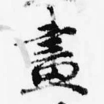 位置定マレル画
