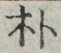 朴の位置