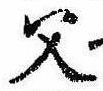 已定位父