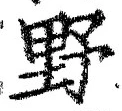 Character 野