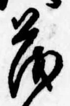 已定位茂