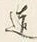 Chữ 達