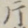 「片」字