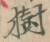 「樹」字