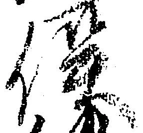 已定位俣