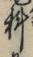 位置定マレル科