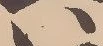 Located 森