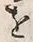 文字宝
