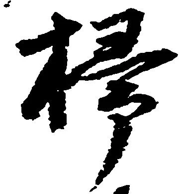 掃の位置
